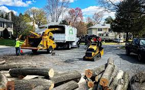 Best Aeration Services  in Dixon, IL