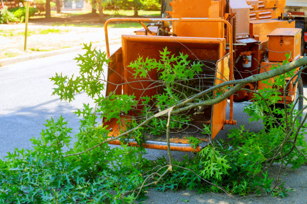 Best Artificial Turf Installation  in Dixon, IL
