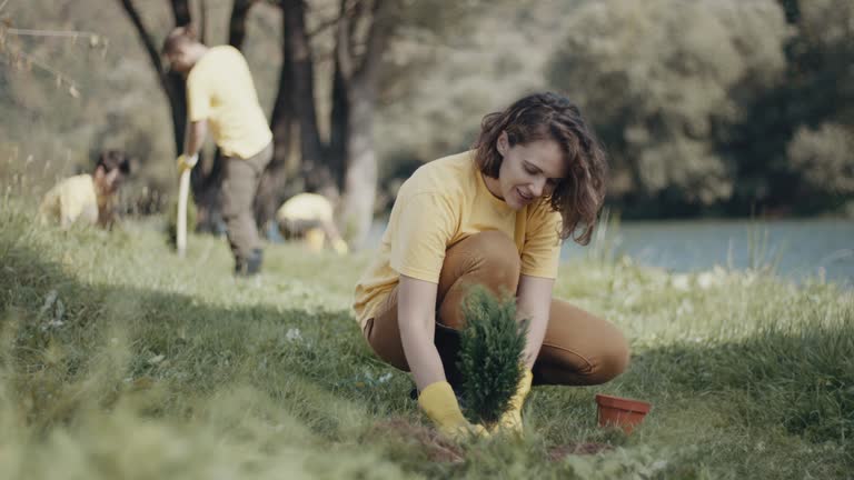 Best Pest Control for Lawns  in Dixon, IL